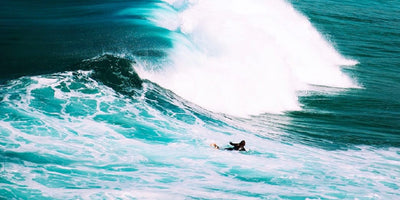 Surfing Into Greater Sustainability